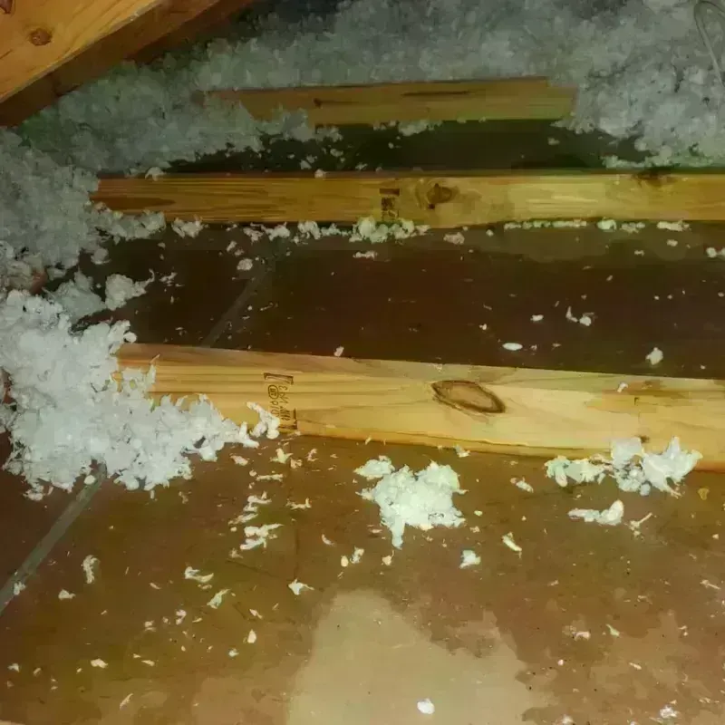 Attic Water Damage in Lake Forest Park, WA